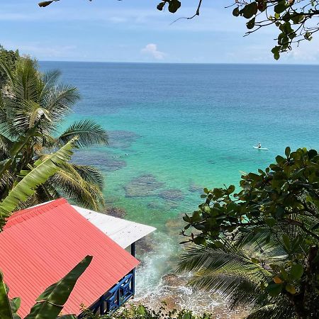 Tesoro Escondido Ecolodge Cabinas Бокас-дель-Торо Экстерьер фото
