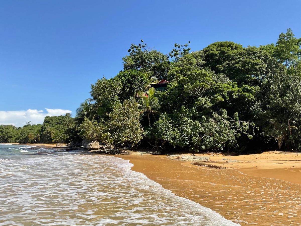 Tesoro Escondido Ecolodge Cabinas Бокас-дель-Торо Экстерьер фото