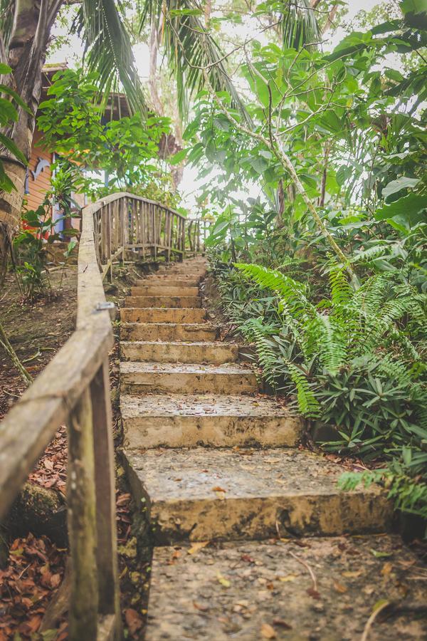 Tesoro Escondido Ecolodge Cabinas Бокас-дель-Торо Экстерьер фото